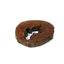 Load image into Gallery viewer, Tillandsia Siamese Cassia Plaque Medium