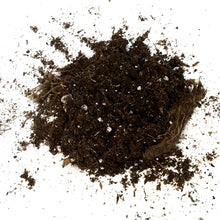 Load image into Gallery viewer, Fafard African Violet Potting Mix, 8.8L