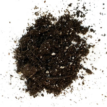 Load image into Gallery viewer, Fafard Indoor Plant Potting Mix, 8.8L
