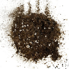 Load image into Gallery viewer, Fafard Seed Starting Mix (Organic), 8.8L