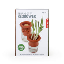 Load image into Gallery viewer, Terracotta Regrower