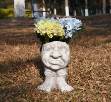Load image into Gallery viewer, Planter, Funny Man Face