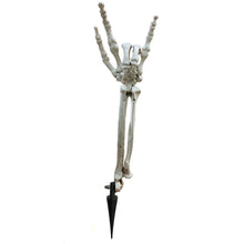 Load image into Gallery viewer, Decor, Poseable Skeleton Arm Stake