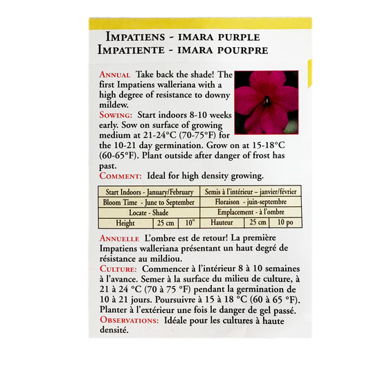 Impatiens - Imara Purple Seeds, OSC