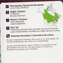 Load image into Gallery viewer, Anise Hyssop Seeds, NW