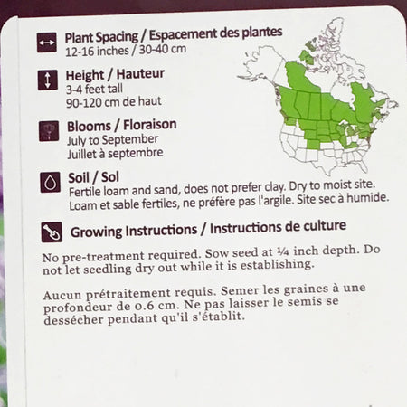 Anise Hyssop Seeds, NW