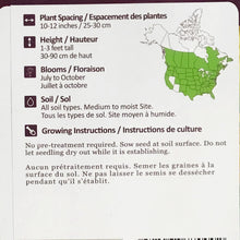 Load image into Gallery viewer, Black-Eyed Susans Seeds, NW