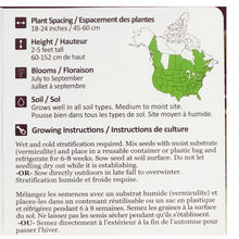 Load image into Gallery viewer, Blue Vervain Seeds, NW