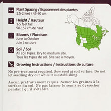 Load image into Gallery viewer, Common Evening Primrose Seeds, NW