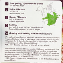 Load image into Gallery viewer, Common Milkweed Seeds, NW