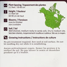 Load image into Gallery viewer, Common Yarrow Seeds, NW