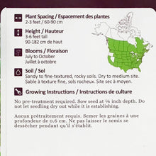 Load image into Gallery viewer, Little Bluestem Seeds, NW