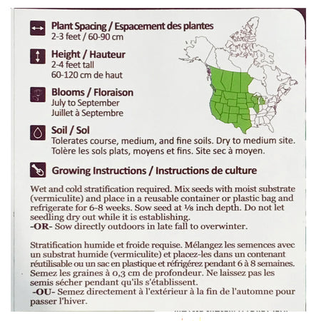 Showy Milkweed Seeds, NW