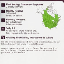 Load image into Gallery viewer, Wild Bergamot Seeds, NW