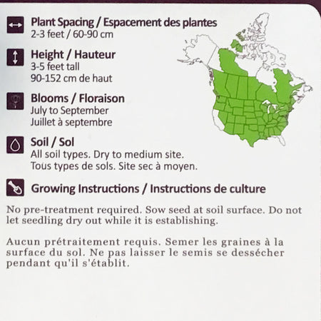 Wild Bergamot Seeds, NW