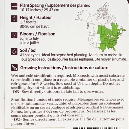 Wild Columbine Seeds, NW