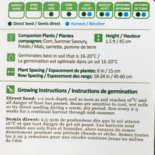 Load image into Gallery viewer, Bean Bush - Provider Seeds, NW