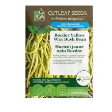 Load image into Gallery viewer, Bean Bush - Rocnor Yellow Seeds, NW