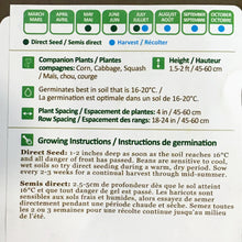 Load image into Gallery viewer, Bean Bush - Rocnor Yellow Seeds, NW