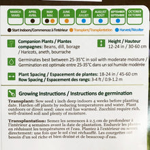 Load image into Gallery viewer, Lettuce - Kweik Seeds, NW