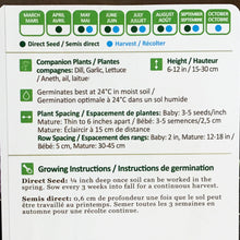 Load image into Gallery viewer, Greens - Scarlet Frills Mustard Seeds, NW