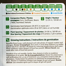 Load image into Gallery viewer, Squash - Brulee Butternut Seeds, NW