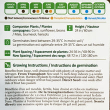 Load image into Gallery viewer, Squash - Spaghetti Seeds, NW