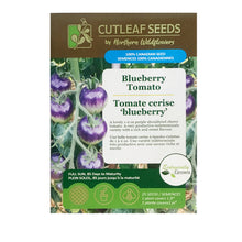 Load image into Gallery viewer, Tomato - Blueberry Seeds, NW