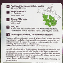 Load image into Gallery viewer, Tomato - Chocolate Cherry Seeds, NW