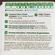 Load image into Gallery viewer, Lettuce - Red Salad Bowl Seeds, NW