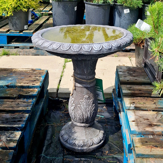 Birdbath Acanthus