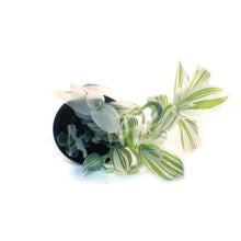 Load image into Gallery viewer, Tradescantia, 4in, Pistachio