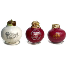 Load image into Gallery viewer, Amaryllis Holiday Wishes, Waxed, Red