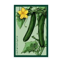 Load image into Gallery viewer, English Cucumber - Seeds,