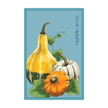 Load image into Gallery viewer, Funky Sqush- Seeds,