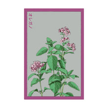 Load image into Gallery viewer, Oregano - Seeds,