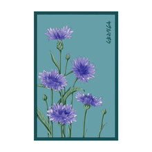 Load image into Gallery viewer, Cornflower Blue - Seeds,