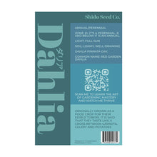 Load image into Gallery viewer, Dahlia - Seeds,