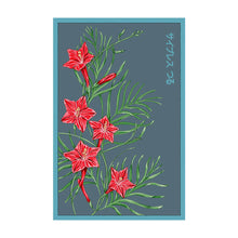 Load image into Gallery viewer, Cypress Vine - Seeds,