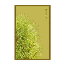 Load image into Gallery viewer, Summer Cypress - Seeds,