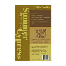 Load image into Gallery viewer, Summer Cypress - Seeds,