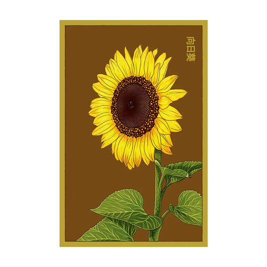 Sunflower - Seeds,