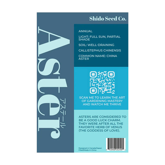 Aster - Seeds,