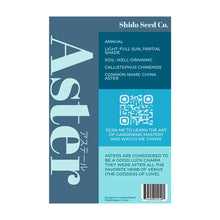 Load image into Gallery viewer, Aster - Seeds,