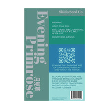 Load image into Gallery viewer, Evening Primrose- Seeds,