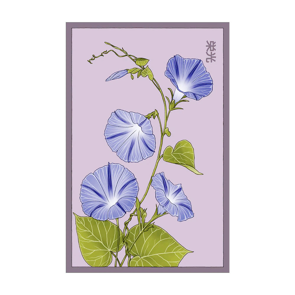 未開封　MORNING GLORY Synthetic Morning Glory - Seeds, – Floral Acres Greenhouse & Garden Centre