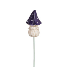 Load image into Gallery viewer, Mushroom Picks Assorted