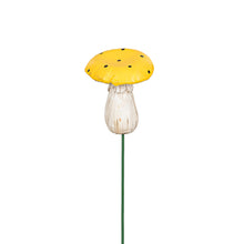 Load image into Gallery viewer, Mushroom Picks Assorted