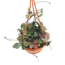 Load image into Gallery viewer, String of Hearts, 4in HB,