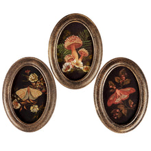 Load image into Gallery viewer, Hanging Decor- Hidden Garden 3 Assorted